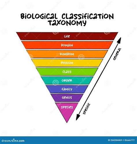 Taxonomy