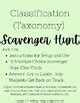 Taxonomy And Classification Treasure Hunt Answer Sheet Reader