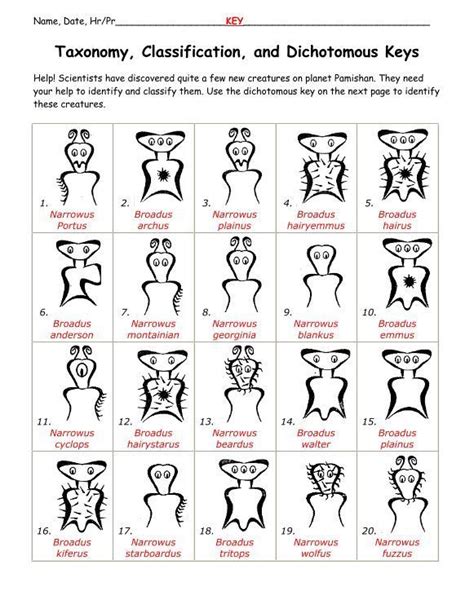 Taxonomy Classification Alien And Dichotomous Keys Answers Kindle Editon