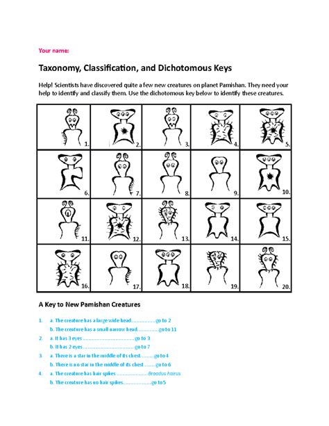 Taxonomy Classification Dichotomous Keys Answers PDF