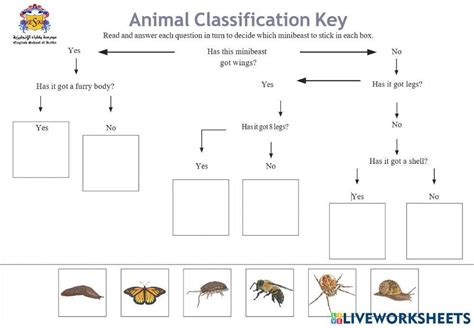 Taxonomy Classification Dichotomous Keys Worksheet Answers PDF