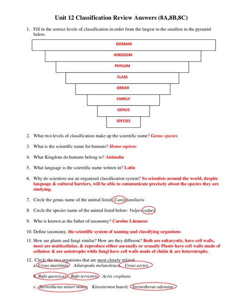 Taxonomy Worksheet Biology Answers Reader