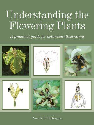 Taxonomy of the Flowering Plants Ebook Kindle Editon