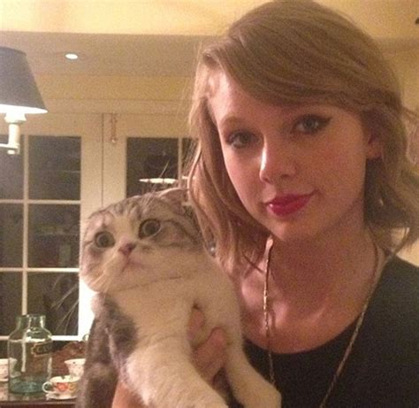 Taylor Swift's Cat Meredith Grey Has Her Own Merch Line Now