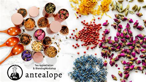 Tea Appreciation in Singapore: A Guide to Savoring the Finest Teas