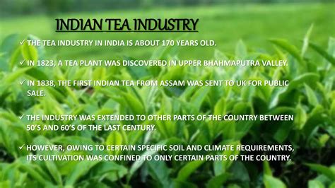 Tea Industry in India An Introduction 1st Edition PDF