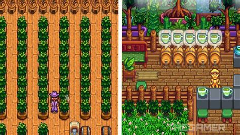 Tea Sapling Stardew: The Complete Guide to Growing and Harvesting Tea in the Valley