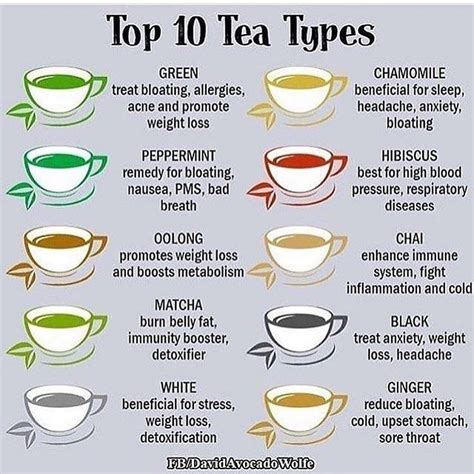 Tea Tea An Easy to Read Guide to the Most Common Teas Green Black Red and Herbal Teas-All Tasty and Miraculously Healthy Worlds Most Loved Drinks Book 2 PDF