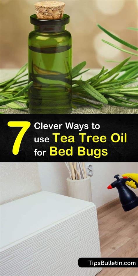 Tea Tree Oil for Bed Bugs: 6 Unbelievable Uses