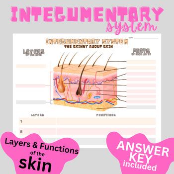 Teacherweb Integumentary System Answer Key Reader