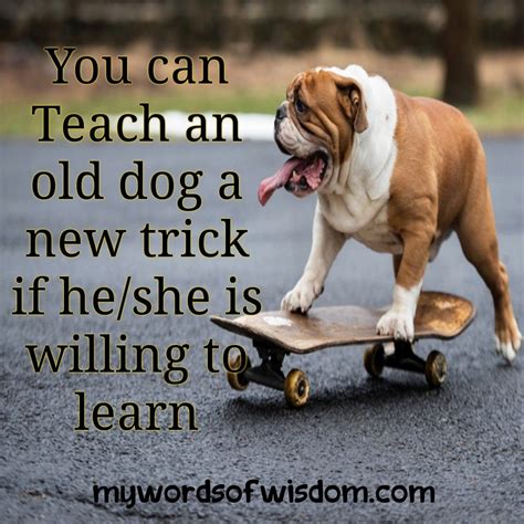 Teaching Old Dogs New Tricks Epub
