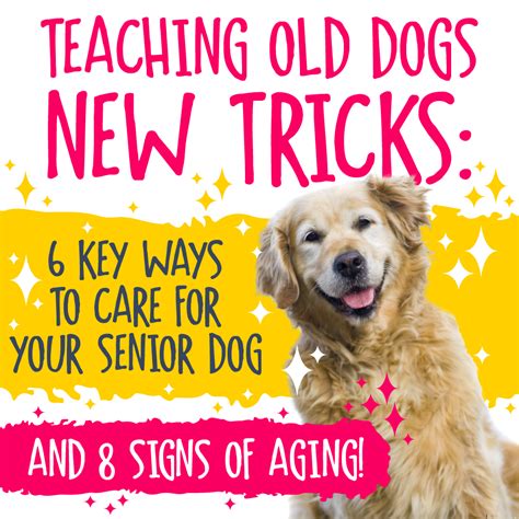 Teaching Old Dogs New Tricks Epub