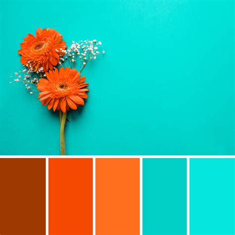 Teal and Orange: A Cosmic Color Combination for the Modern Wardrobe