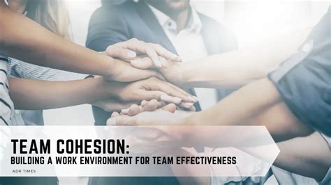 Team Identity and Cohesion: