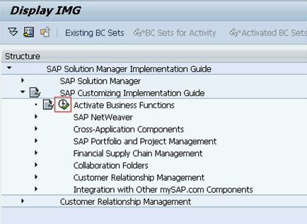 Teaming Sap Solution Manager And Ibm Rational Software For Epub