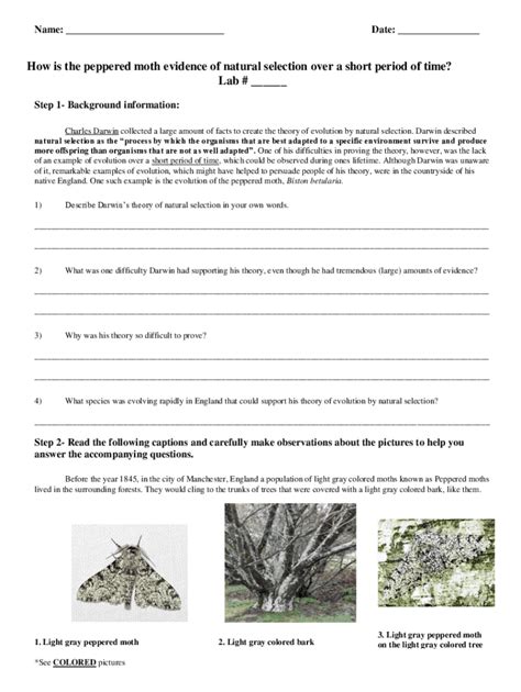 Techapps Interactives Peppered Moths Answers Sheet Epub