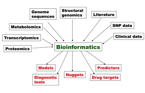 Techniques in Bioinformatics and Medical Informatics Doc