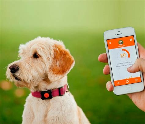 Technology-Driven Pet Care: Sniffspot's Edge in 2025