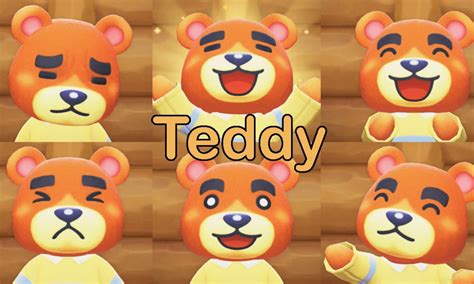 Teddy ACNH: Your Ultimate Guide to the Beloved Bear Cub