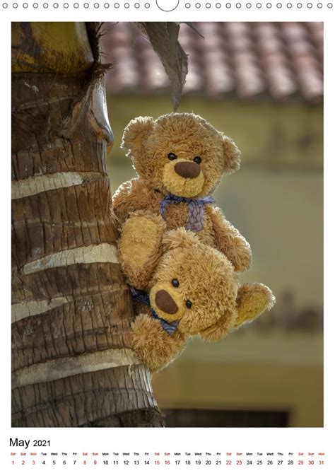 Teddy Bears: A Journey Through Singapore's Cuddly Companions