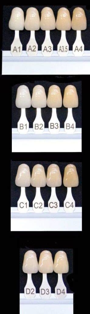 Teeth Color Chart Online