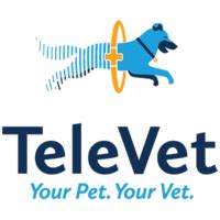 TeleVet 101: The Future of Veterinary Advice in 2025