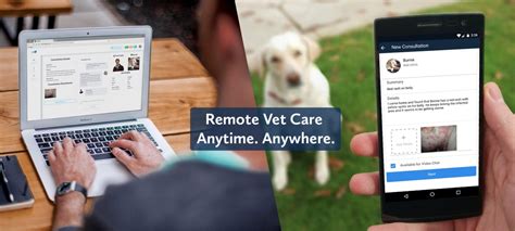 TeleVet Partnerships and Collaborations: Driving Innovation in Remote Veterinary Care by 2025