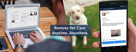 TeleVet Services: Revolutionizing Veterinary Care in 2025