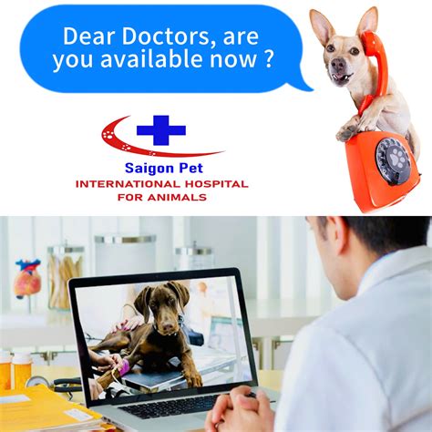 TeleVet for Pet Adopters: A Comparison of 5 Services