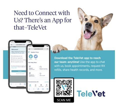 TeleVet for Pet Walkers: Unlocking Cutting-Edge Care for On-the-Go Professionals