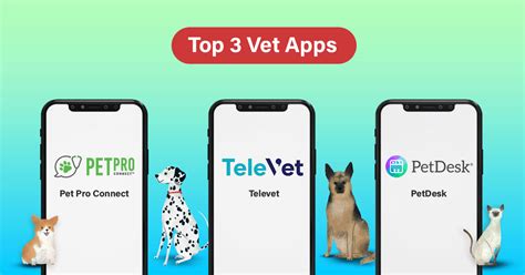 TeleVet for Veterinary Follow-ups 2025: VS Reimagining Remote Care