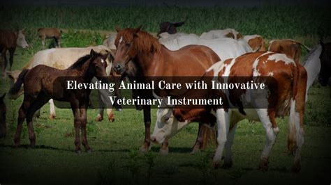 TeleVet for Veterinary Professionals: Revolutionizing Animal Care in 2025