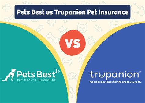 TeleVet vs. Pet Health Insurance: The 2025 Comparison