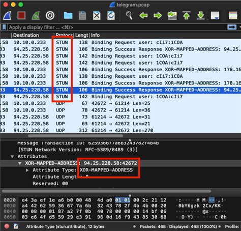 Telegram IP Address Detection: Unveiling Hidden Identities