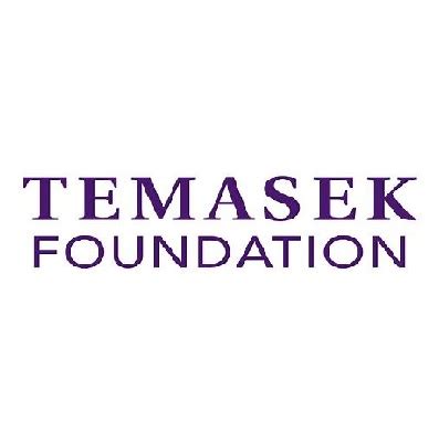 Temasek Foundation International Scholarships: A Comprehensive Guide for Aspiring Scholars