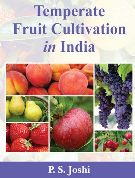 Temperate Fruit Cultivation in India Epub