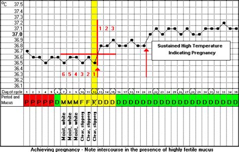 Temperature And Pregnancy Chart