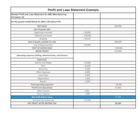 Template For A Profit And Loss Statement