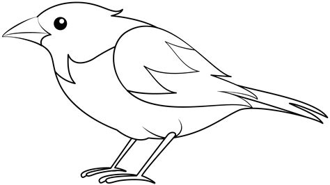 Template Of A Bird