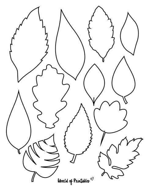 Template Of A Leaf