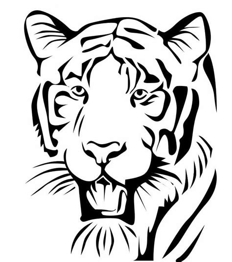 Template Of A Tiger