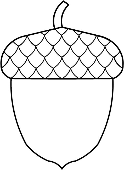Template Of Acorn