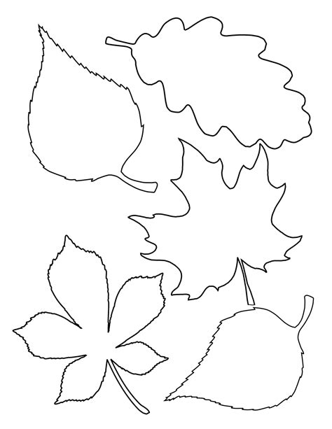 Template Of Leaves