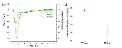 Temporal Displacement: