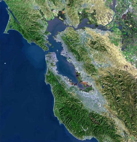 Temporal Dynamics of an Estuary San Francisco Bay 1 Ed. 85 PDF