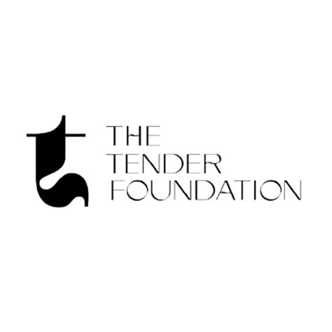 Tender Foundation: The Cornerstone of a Thriving Business in 2023