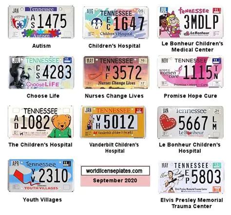 Tennessee License Medical: Essential Information for Healthcare Professionals