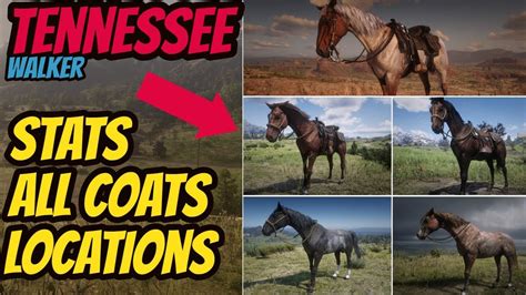 Tennessee Walker RDR2: The Complete Guide