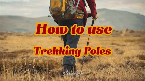 Tent Support Pole: The Ultimate Guide to Enhancing Your Outdoor Adventures