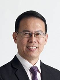 Teo Ho Pin: A Legacy of Excellence in Singapore's Financial Landscape